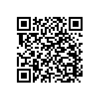 老人浴室扶手-設(shè)計貼心不占空間【藍(lán)品盾】