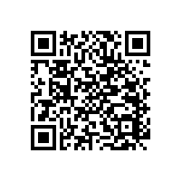 L型衛(wèi)浴扶手-定制尺寸 裝哪兒都行【藍品盾】