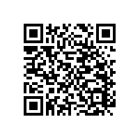 淋浴房安全扶手-貼心小管家【藍(lán)品盾】