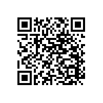 美觀，新穎的衛(wèi)生間馬桶扶手怎么安裝【藍(lán)品盾】