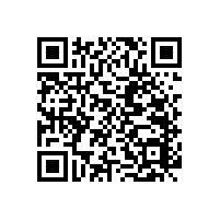 馬桶安全扶手倒底用的什么材質(zhì)呢？【藍(lán)品盾】