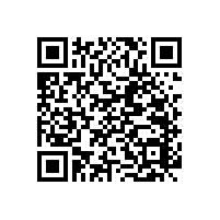 馬桶安全扶手的“款式”【藍(lán)品盾】