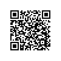 馬桶邊扶手-貼心可訂制【藍品盾】