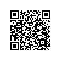 馬桶旁邊有能折起的扶手？