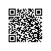 木質(zhì)扶手衛(wèi)生間多功能設計更實用【藍品盾】