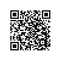 木制扶手衛(wèi)生間-防腐防水優(yōu)點多-藍品盾