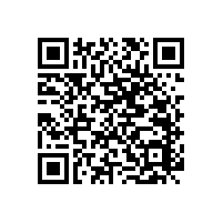 木質(zhì)扶手衛(wèi)生間可訂制多功能款式!【藍品盾】