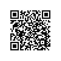 尼龍材質(zhì)的無障礙扶手優(yōu)點真的太多了【藍品盾】