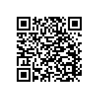 尼龍衛(wèi)生間扶手-長度可定制