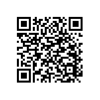 pvc走道扶手可訂制的安全把手【藍(lán)品盾】