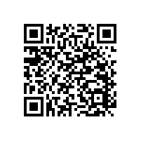 品質(zhì)好、服務(wù)好的尼龍無障礙扶手生產(chǎn)廠家-藍(lán)品盾