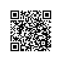 讓人放心的衛(wèi)浴扶手品牌【藍品盾】