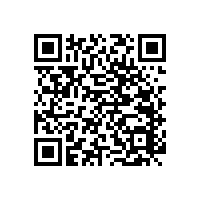 【四川】尼龍衛(wèi)浴扶手，藍(lán)品盾為您推薦合適的!