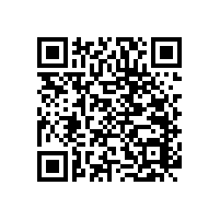 【四川】無障礙小便器扶手批發(fā)，更信賴藍(lán)品盾的！