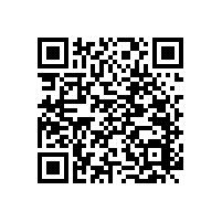 【山東】不銹鋼衛(wèi)浴扶手,每個細節(jié)做的都很到位