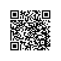 設(shè)計(jì)感強(qiáng)的衛(wèi)生間扶手可以選擇這樣的！【藍(lán)品盾】