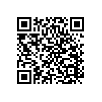 塑膠盲道板/具有防滑、吸音等功能！【藍(lán)品盾】