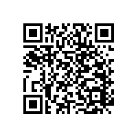 室內(nèi)無(wú)障礙扶手擁有個(gè)性化的設(shè)計(jì)！【藍(lán)品盾】