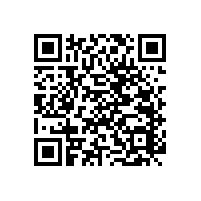 使用&專用醫(yī)用扶手廠家-藍(lán)品盾