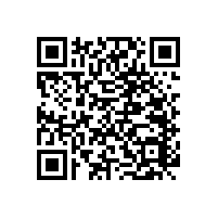 特殊學(xué)校呼叫扶手的作用【藍(lán)品盾】