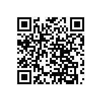 U型落地馬桶扶手，舒適易用，貼心守護(hù)【藍(lán)品盾】