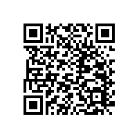 衛(wèi)生間不銹鋼扶手為老人增加便利度【藍(lán)品盾】