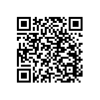 衛(wèi)生間殘疾扶手【藍品盾】