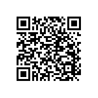 衛(wèi)生間殘疾人扶手廣州藍(lán)品盾現(xiàn)貨供應(yīng)款式百種
