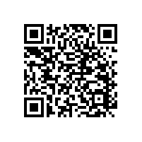 衛(wèi)生間殘疾人扶手【藍(lán)品盾】