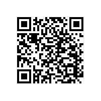 衛(wèi)生間殘疾人扶手有哪些益處？【藍品盾】