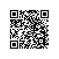 衛(wèi)生間殘疾人坐便扶手日常防滑小幫手-易清潔耐用【藍(lán)品盾】