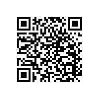 衛(wèi)生間殘疾人坐便器扶手安全防滑！【藍品盾】