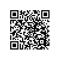 衛(wèi)生間兒童扶手-真材實料的品質(zhì)【藍(lán)品盾】