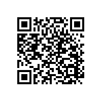 衛(wèi)生間防滑選哪樣？廁所防滑扶手【藍(lán)品盾】