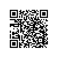 衛(wèi)生間防摔倒的老年人扶手