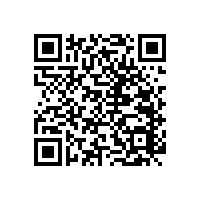 衛(wèi)生間扶手可90度上翻輕松使用【藍品盾】