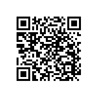 衛(wèi)生間扶手老人不銹鋼-公廁有了它方便多了【藍(lán)品盾】