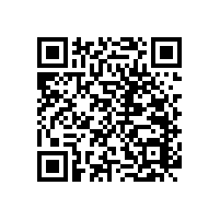 衛(wèi)生間扶手 老人用的有什么好的款式可以推薦的呢？老司機(jī)來告訴您！