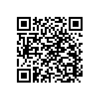 衛(wèi)生間扶手生產(chǎn)廠家【藍(lán)品盾】