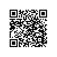 衛(wèi)生間扶手生產(chǎn)廠家哪里有？【藍品盾】