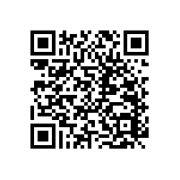 衛(wèi)生間靠墻扶手-一體成型防水/防銹【藍(lán)品盾】