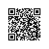 衛(wèi)生間老年扶手個性化的定制【藍品盾】