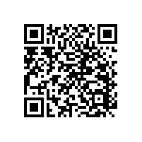 衛(wèi)生間老人房扶手簡(jiǎn)約方便【藍(lán)品盾】