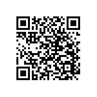 衛(wèi)生間老人扶手好的款式有哪些？【藍(lán)品盾】