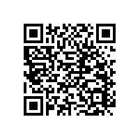 衛(wèi)生間老人扶手 實(shí)力廠家，沒(méi)有中間商掙差價(jià)