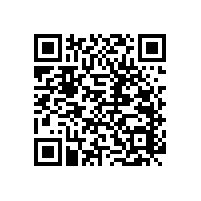 衛(wèi)生間老人扶手為老人提供舒適的環(huán)境【藍(lán)品盾】