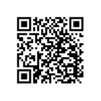 衛(wèi)生間老人扶手裝配-藍(lán)品盾