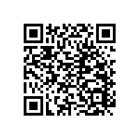 衛(wèi)生間老人馬桶扶手-使用便捷【藍品盾】