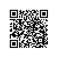 衛(wèi)生間老人用翻轉(zhuǎn)扶手防滑省空間【藍(lán)品盾】