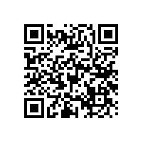 衛(wèi)生間馬桶安全扶手“實(shí)用省空間”【藍(lán)品盾】